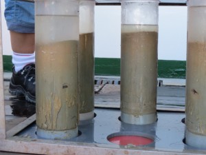 Cores filled with sediment